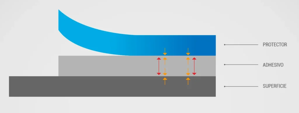 Diferencia entre adhesión y cohesión